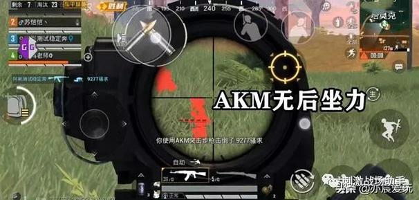透视和平精英免费